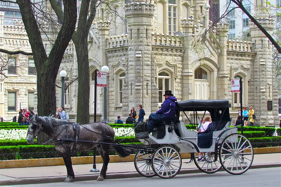 Chicago Water Tower & City Gallery
