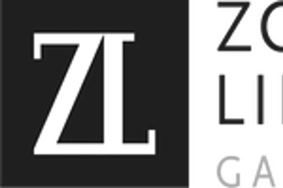 Zolla/Lieberman Gallery
